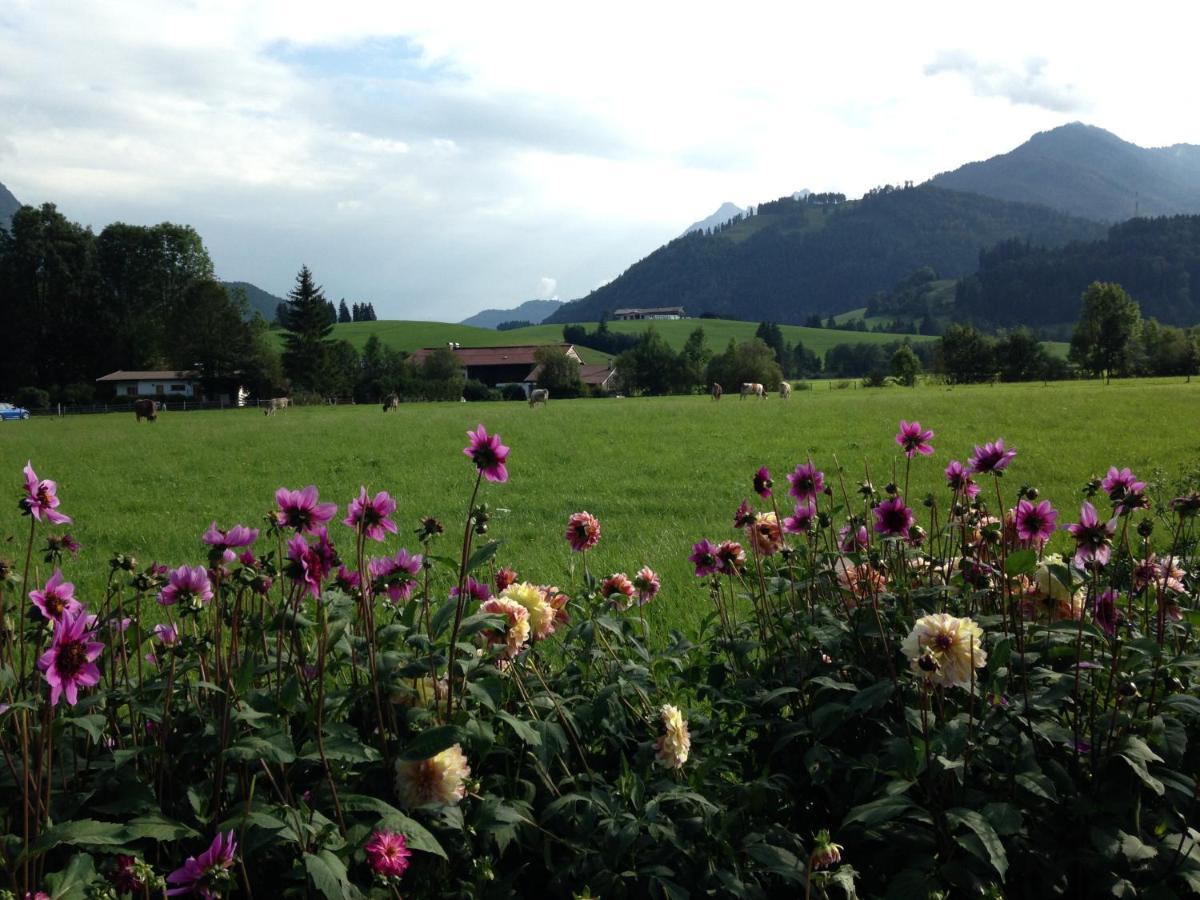 Bio-Bauernhof Bachangerhof ケセン エクステリア 写真