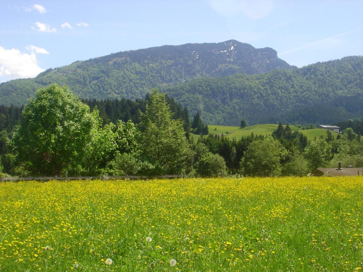 Bio-Bauernhof Bachangerhof ケセン エクステリア 写真