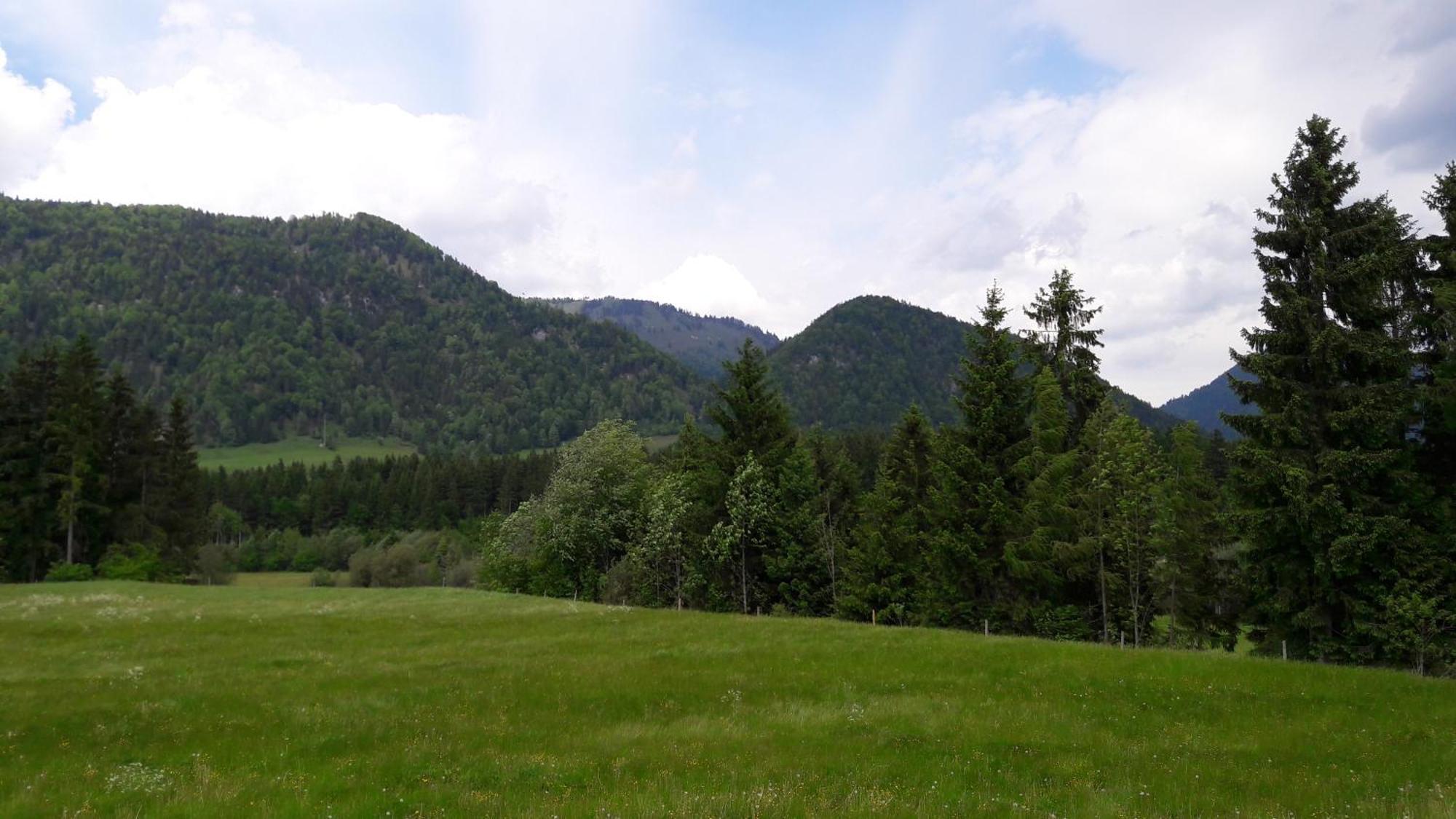Bio-Bauernhof Bachangerhof ケセン エクステリア 写真