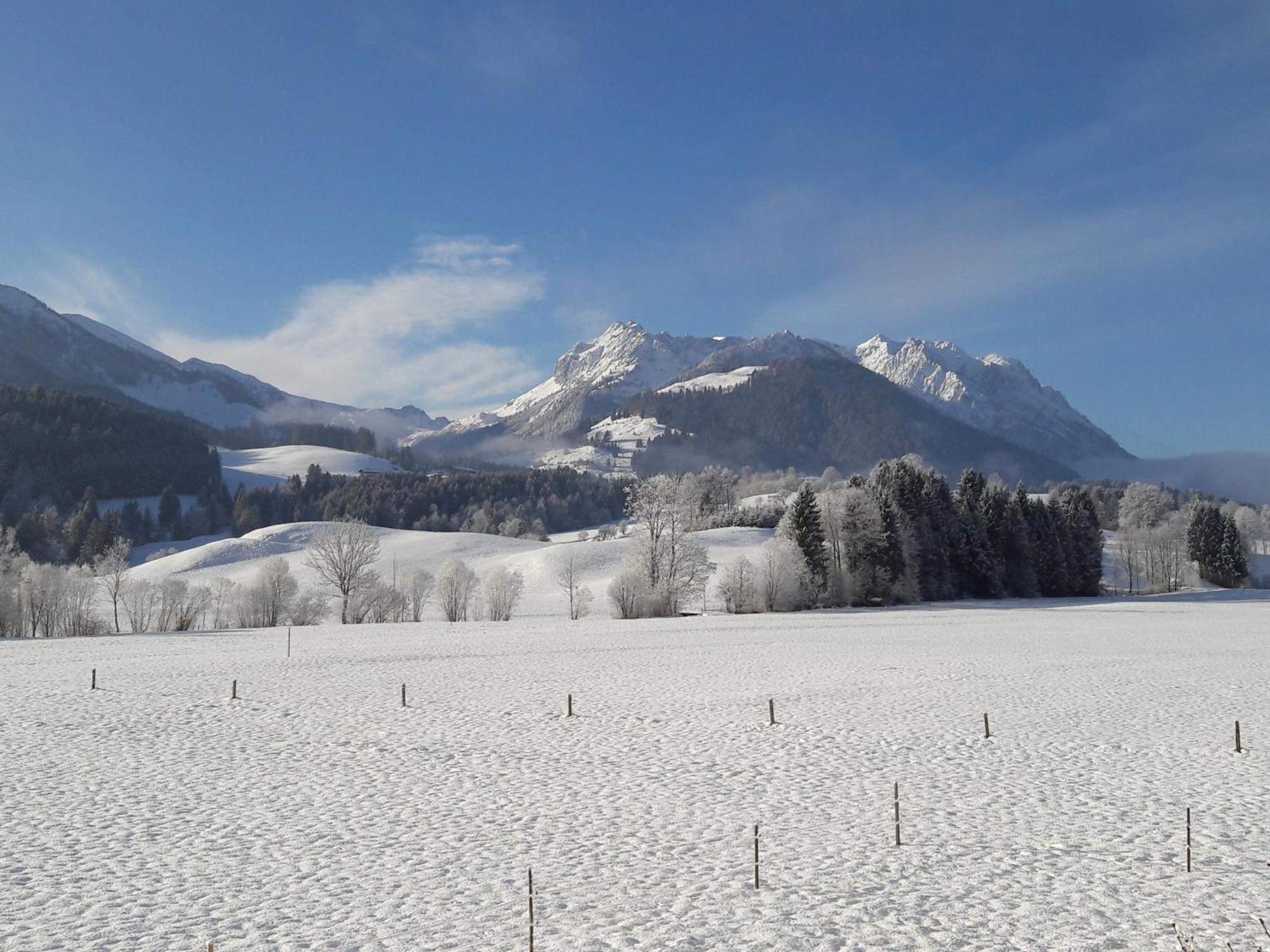 Bio-Bauernhof Bachangerhof ケセン エクステリア 写真