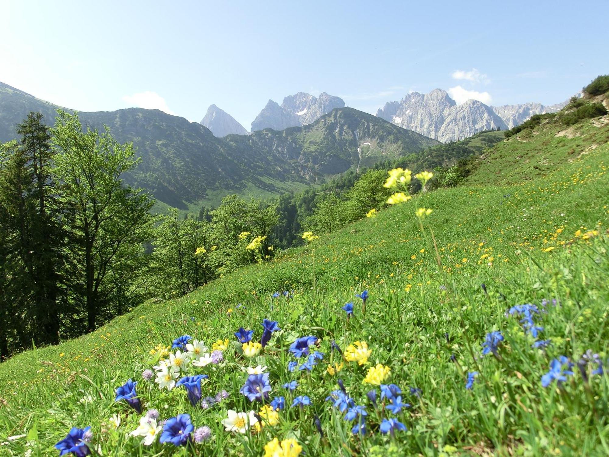 Bio-Bauernhof Bachangerhof ケセン エクステリア 写真